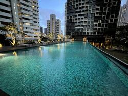 Irwell Hill Residences (D9), Apartment #445806451